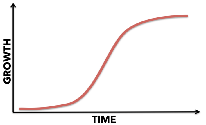 The Half-Life of Bitcoin Treasury Companies